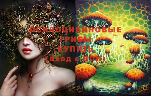 хмурый Михайлов
