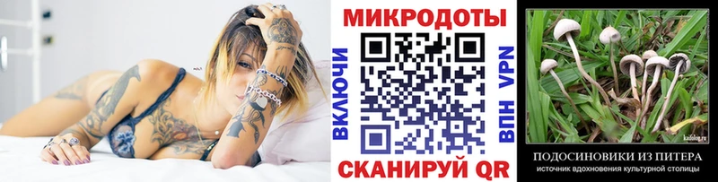 Галлюциногенные грибы Cubensis  хочу   omg маркетплейс  Новосокольники 